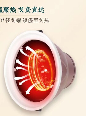艾美灸宫廷灸盒家用随身灸艾柱温灸器美容院艾灸用具