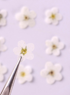 勿忘我diy手工押花画书签相框
