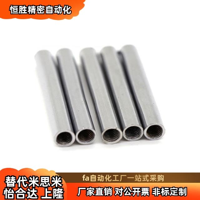 直杆型导向轴ESG-D8 D10 D12D13D16D20-L20L30L40L50L60-M3-P5-N3 - 图0