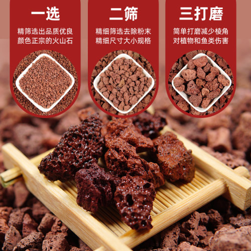 天然火山石红火山岩黑火山石造景多肉兰花石专用营养土铺面包上楼 - 图2