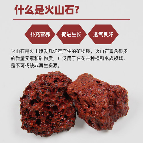 天然火山石红火山岩黑火山石造景多肉兰花石专用营养土铺面包上楼 - 图3