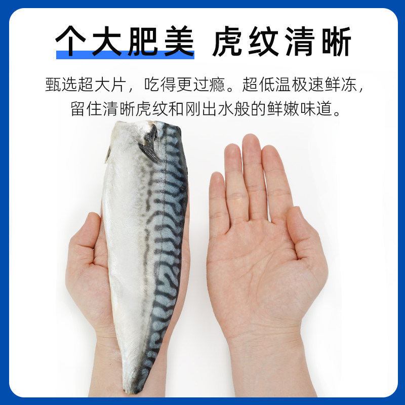 市舶士挪威进口青花鱼片超大鲭鱼新鲜冷冻日式无盐烧烤深海鱼900g,淘宝优惠券,粉丝福利购,淘宝优惠卷