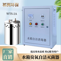 Water treatment sterilization equipment for built-in WTS-2A external ozone micro-electrolysis generator for water tank self cleaning sterilizer