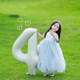 Birthday number balloon birthday photo props
