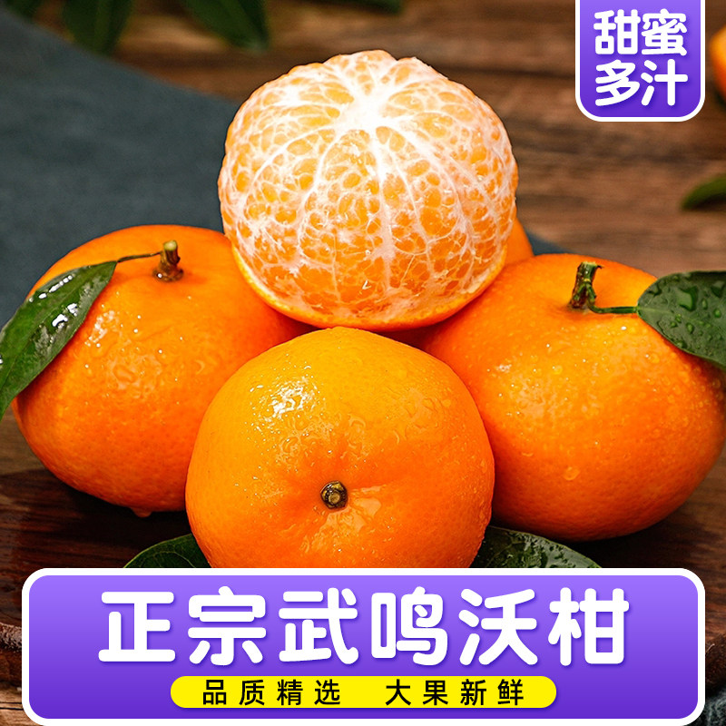  淦橙农源食品桔子