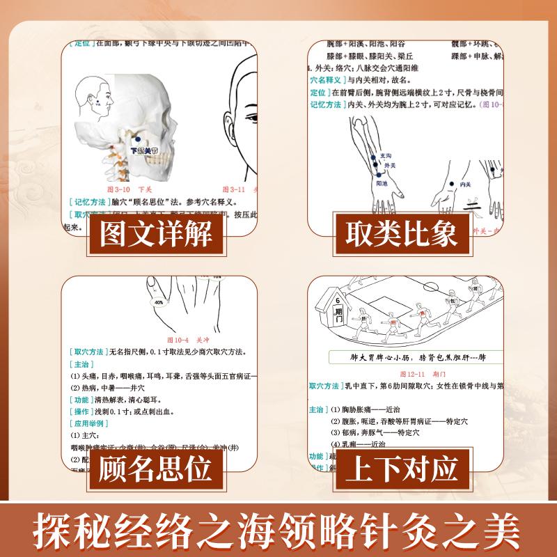 2025年中医腧穴定位速记图解经络穴位讲解指导用书大全歌诀手册