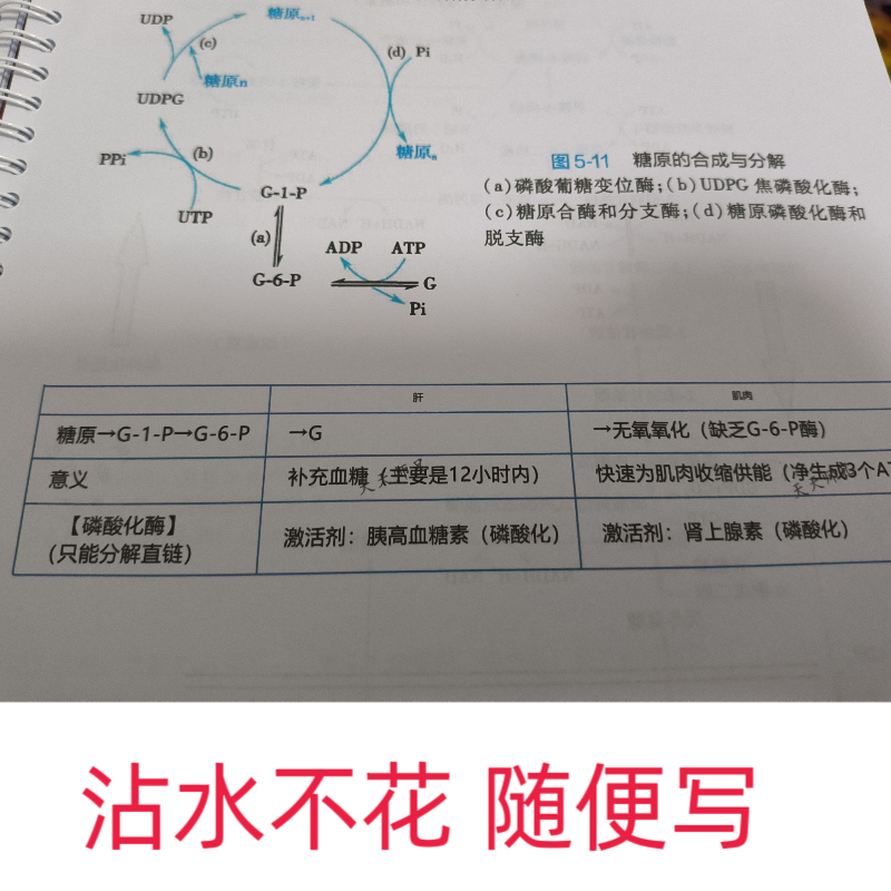 2024/2025天天师兄填空讲义彩色印刷遇水不花80g厚纸印刷 - 图2