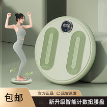 Japan Germany Quality Home Twist Waist Turntable Intelligent Counting Slim Waist Machine Fuel Fat Weight Loss Theorizer Twisting Disc Muted