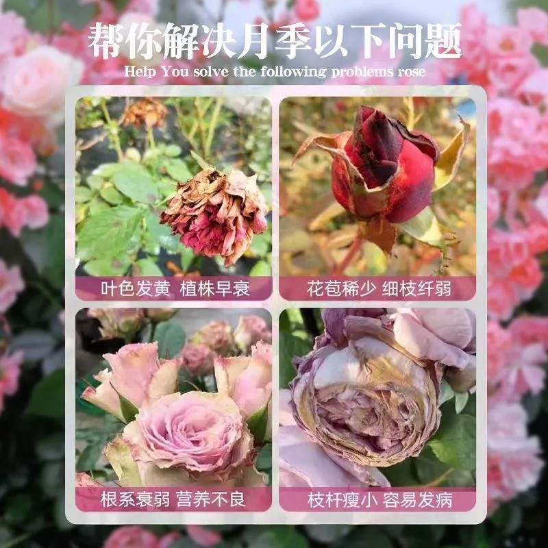 浓缩营养液爆芽素原液多肉专用促芽催芽分化叶插花卉植物营养液,淘宝优惠券,粉丝福利购,淘宝优惠卷