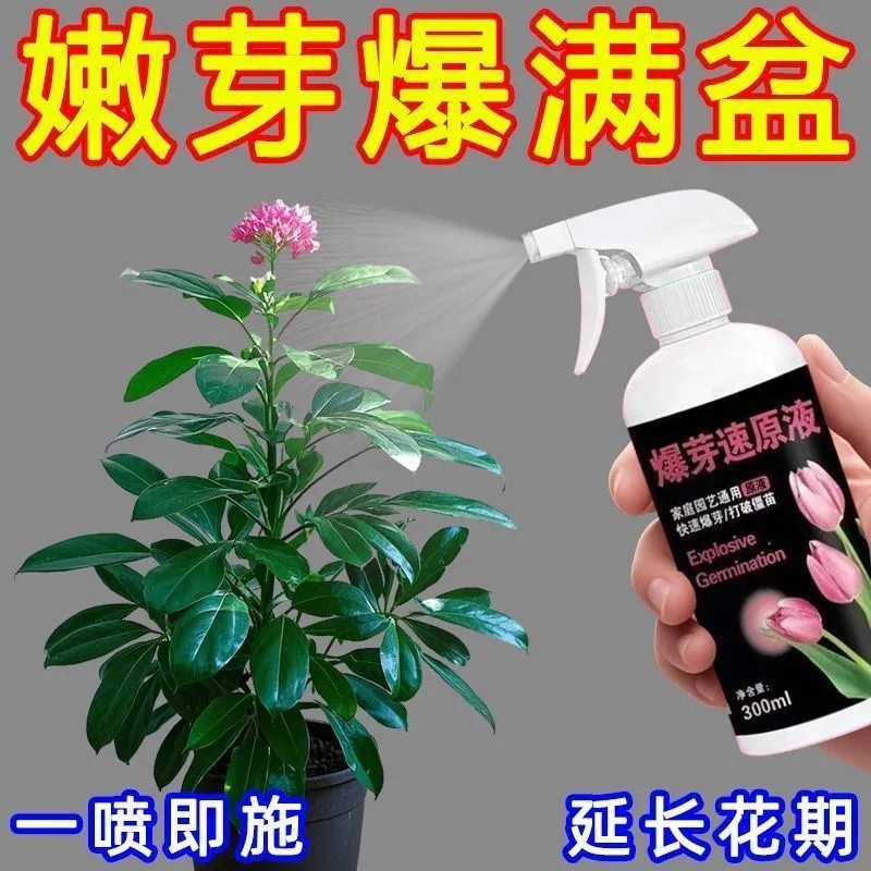 浓缩营养液爆芽素原液多肉专用促芽催芽分化叶插花卉植物营养液,淘宝优惠券,粉丝福利购,淘宝优惠卷
