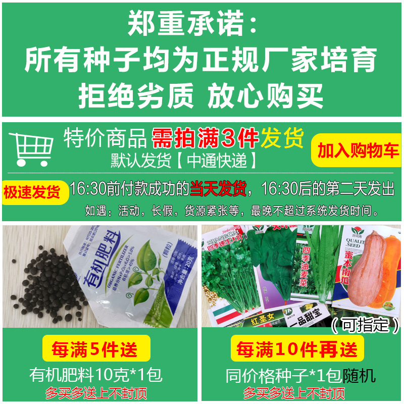 四季蔬菜种子适合秋播种植青菜生菜香菜菠菜萝卜阳台菜籽种孑大全