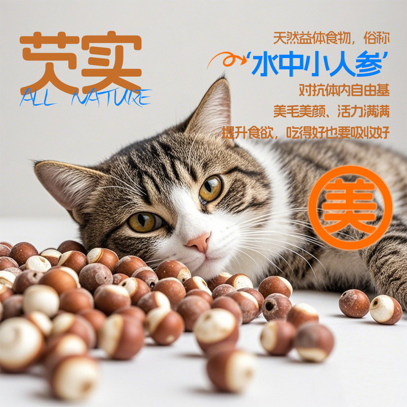 MYDE满多全价鳕鱼主食餐盒成猫幼猫免疫鱼油软骨美毛泌尿牛磺酸,淘宝优惠券,粉丝福利购,淘宝优惠卷