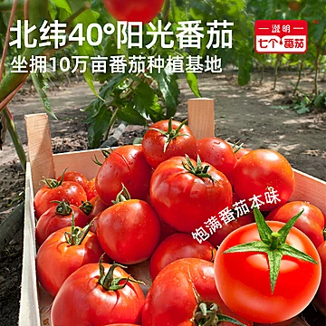 【澄明七个番茄】火锅底料锅汤50gx5袋[5元优惠券]-寻折猪