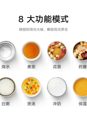 小米米家养生壶2316L不锈钢