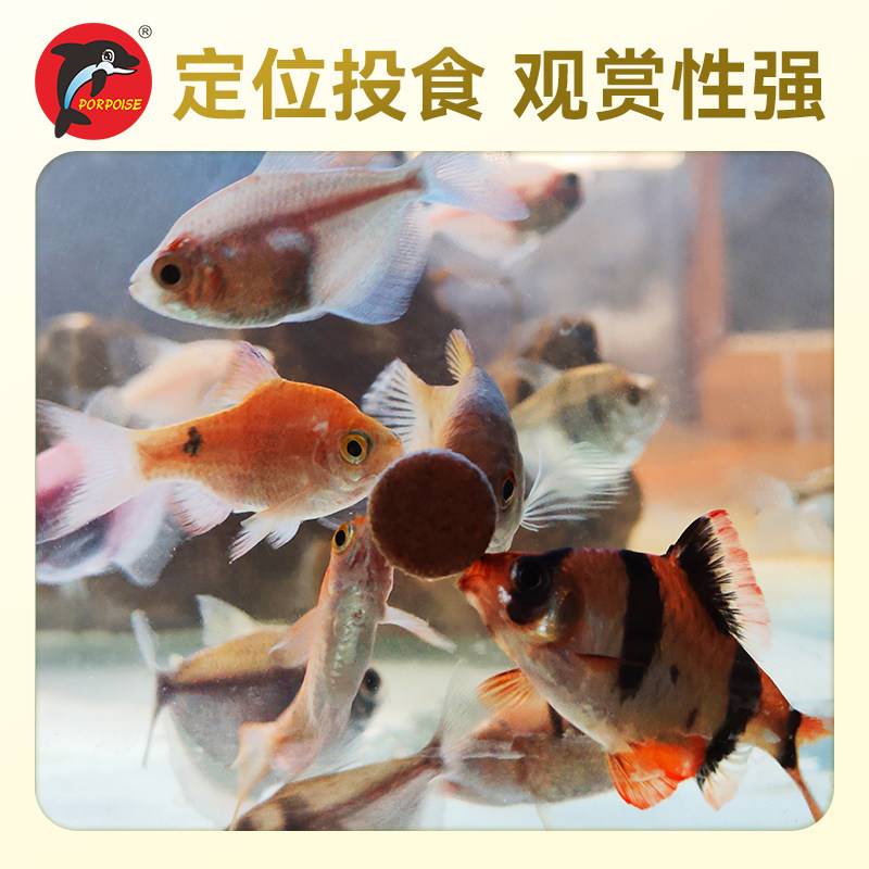 海豚鱼粮斗鱼燕鱼慈鲷热带观赏鱼饲料孔雀鱼红绿灯焕色小型鱼饲料,淘宝优惠券,粉丝福利购,淘宝优惠卷