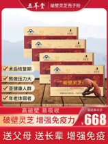 Five Adoptive Hall Wall-Broken Lucid Lingzhi Spore Powder Content Longquan Alpine Forest Lower Cultivation Enhanced Immunity High Mountain 30 Packs * 4 Boxes