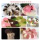 Sweet Sandwich Biscuit Cake Decoration Dessert Pink