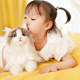 Chongker Papa Ragdoll PP Cotton Simulation Cat Doll