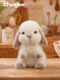 Chongker Rabbit Ferret Piggy Ornament Plush Cute Doll ຂອງຂວັນວັນເກີດຂອງເພື່ອນທີ່ດີທີ່ສຸດ