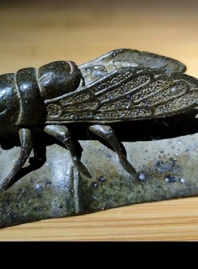 乡下回流合金镀铜一鸣惊人摆放蝉镇纸摆件长6厘米宽约2.5厘米