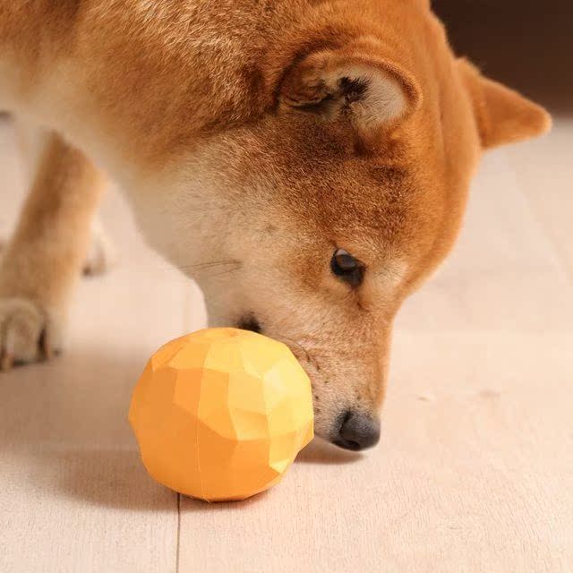 Training Dog Molar Teeth Cleansing Puzzle Food Spill Ball Pe - 图2