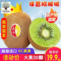 Qifeng Shaanxi Eyebrow County Xu Fragrant Green Heart Kiwifruit 5 Catty Fresh Chic Exotic Fruits Now Off Should Season Fruit Spot