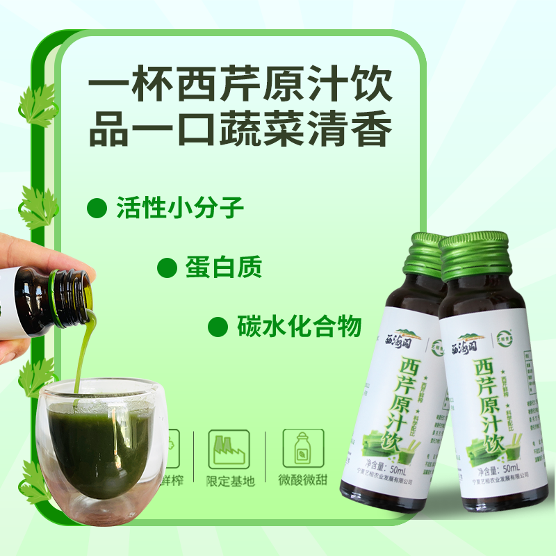 西海固芹菜鲜榨西芹原汁饮原浆50ml*10瓶/盒无蔗糖添加剂芹菜汁 - 图3