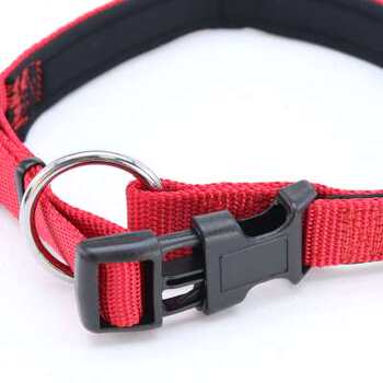 Anti-i teddy pe pet supply ring m medium neck large traction rope it corgi small dog ring dog collar tl