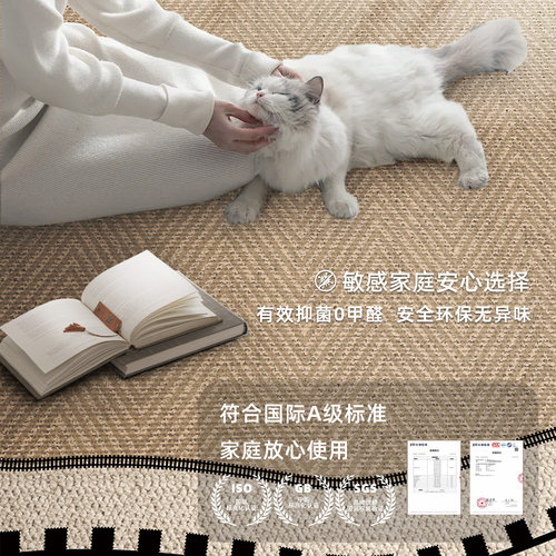 中古风地毯客厅2026新款可擦免洗地垫复古奶油沙发茶几床边毯异型 - 图2