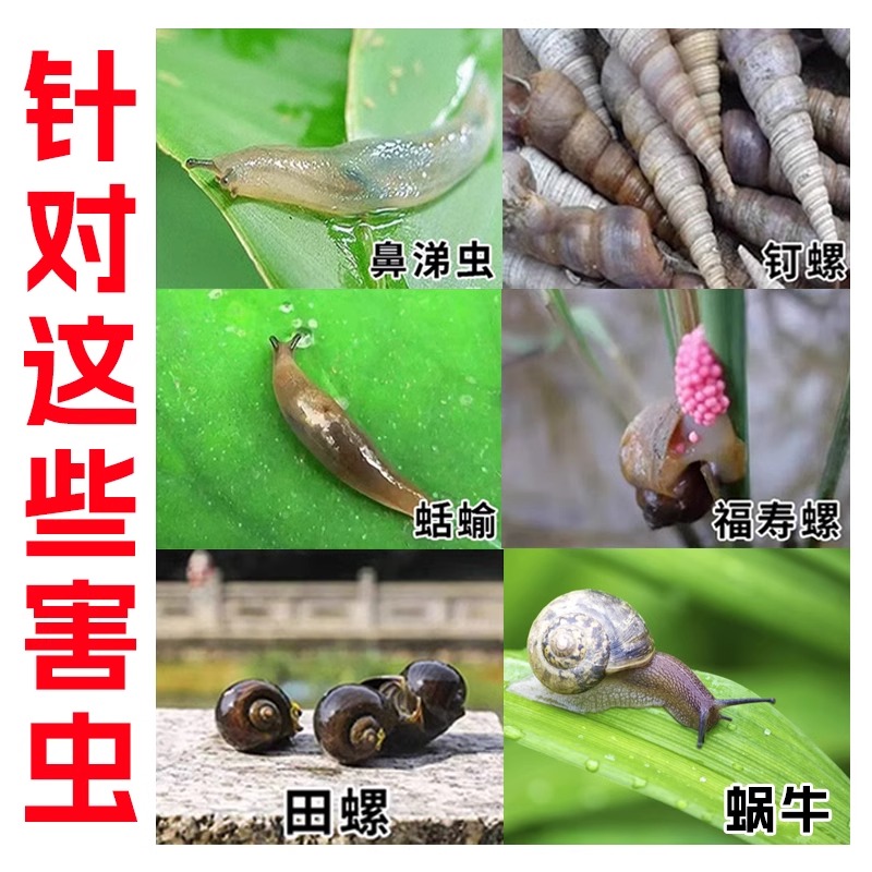 蜗牛特效药蛞蝓杀虫剂菜地杀灭治蜗牛鼻涕虫专用药克星蔬菜一喷净