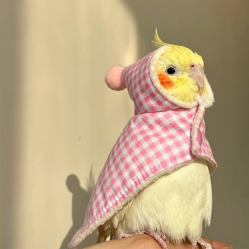 鹦鹉衣服玄风牡丹小太阳斗篷披风鸟衣服加厚保暖外出服宠物鸟用品,淘宝优惠券,粉丝福利购,淘宝优惠卷