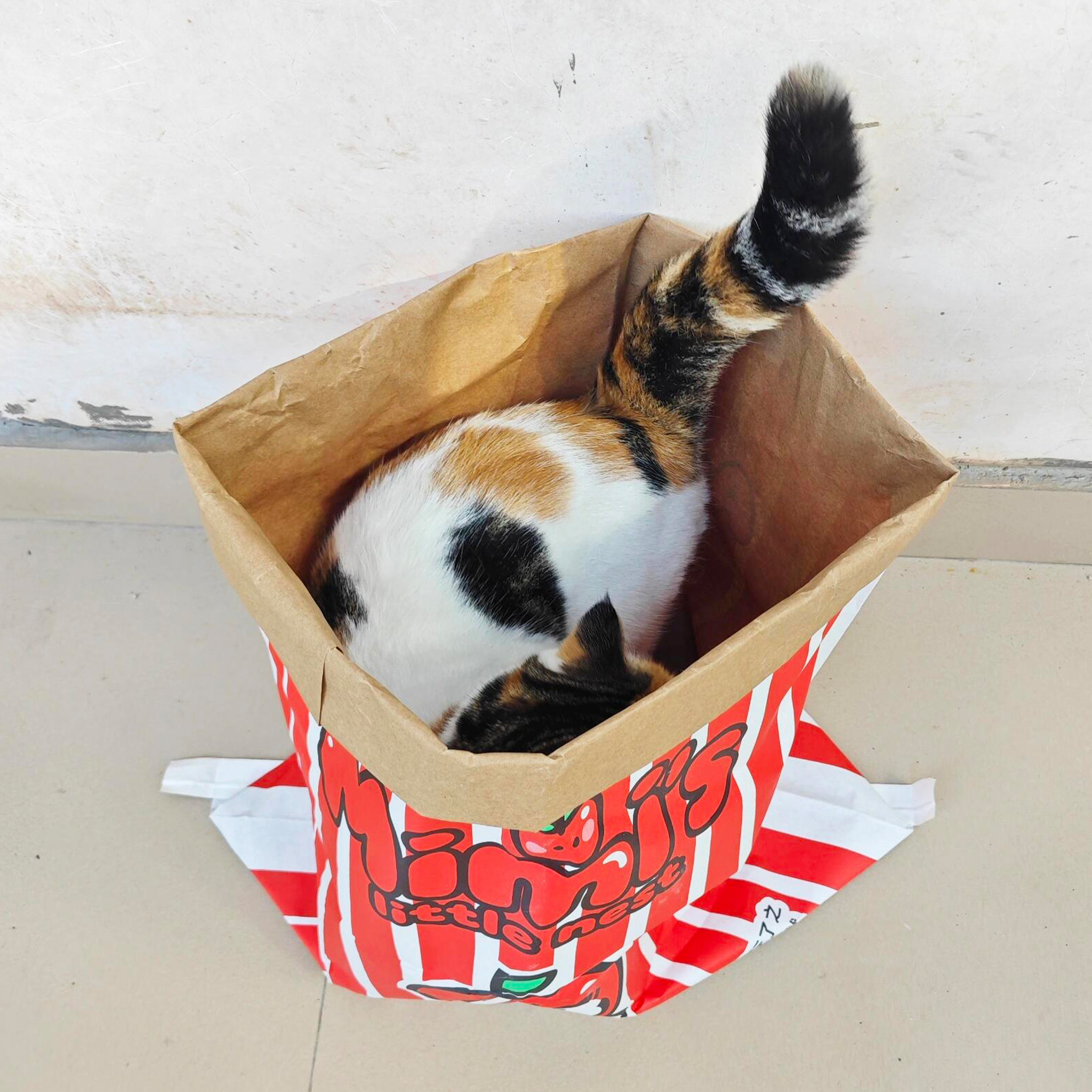 牛皮纸袋猫玩具自嗨解闷神器猫隧道猫咪钻洞听响声捉迷藏临时猫窝,淘宝优惠券,粉丝福利购,淘宝优惠卷