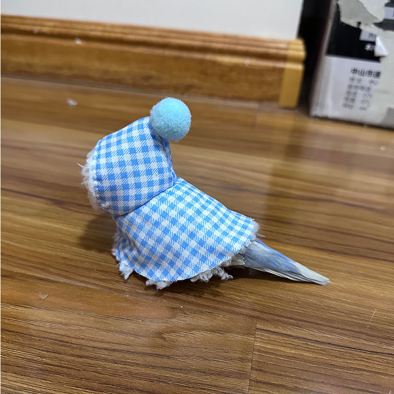 鹦鹉衣服玄风牡丹小太阳斗篷披风鸟衣服加厚保暖外出服宠物鸟用品,淘宝优惠券,粉丝福利购,淘宝优惠卷