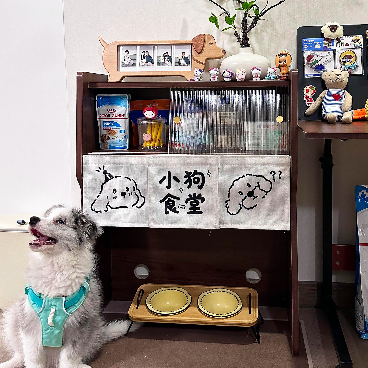 猫咪食堂置物架中古风狗狗饭堂创意木质零食储物柜宠物用品收纳架,淘宝优惠券,粉丝福利购,淘宝优惠卷