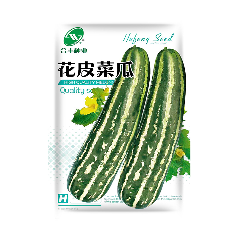 绿皮花皮菜瓜种籽甜瓜酥瓜香脆瓜丰产早熟烧瓜青皮菜瓜酱瓜种子-图3