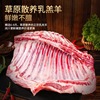 新鲜半只羊冷冻内蒙古羔羊肉10斤