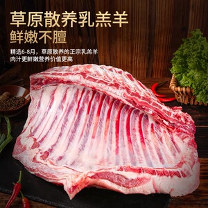 新鲜半只羊冷冻内蒙古羔羊肉10斤