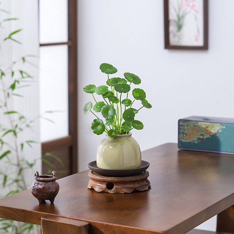 铜钱草盆栽小绿植客厅茶桌办公室桌面金钱草水培植物招财摆件好养,淘宝优惠券,粉丝福利购,淘宝优惠卷