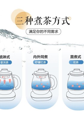小熊煮茶器喷淋式自动煮茶壶蒸汽