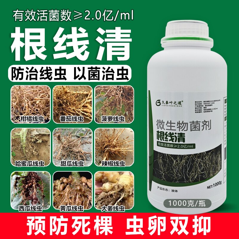 根结线虫专用药淡紫紫孢菌根结根瘤根线清根线灵地下根微生物菌剂_虎窝淘