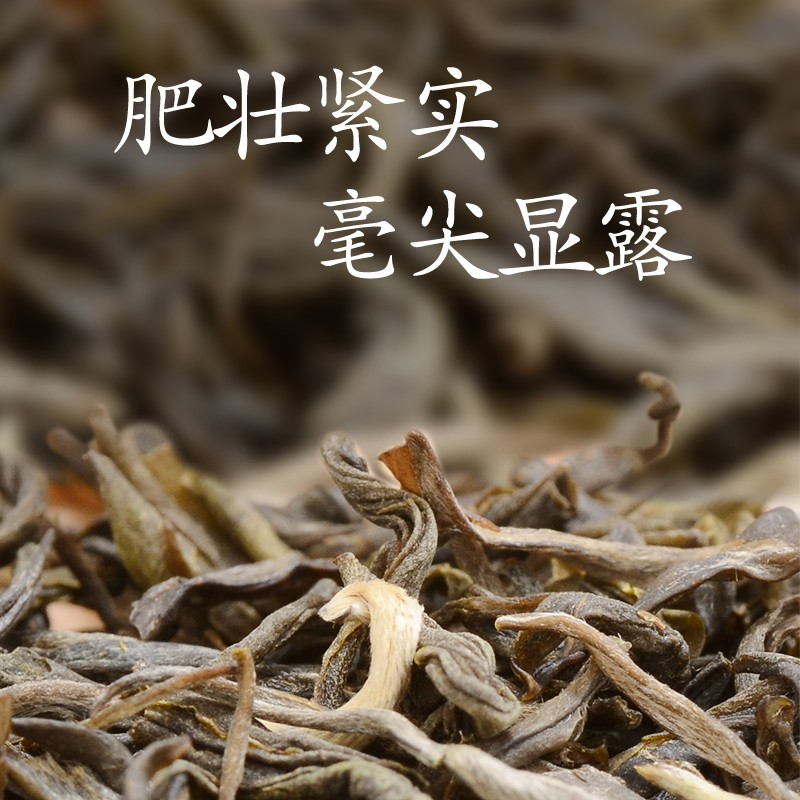 茉莉香毫2022新茶春蕾浓香型特种烘青茉莉花茶耐泡江西特产高山茶