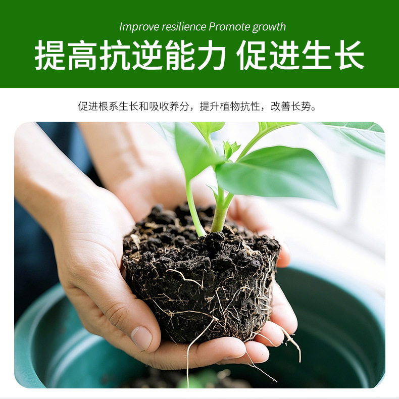 多肉生根粉专用快速生根植物发根剂通用型扦插移栽修根促根,淘宝优惠券,粉丝福利购,淘宝优惠卷