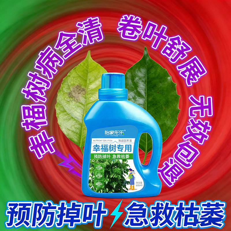 幸福树专用营养液专用肥料落叶掉叶子专用肥料专黄叶烂根营养液,淘宝优惠券,粉丝福利购,淘宝优惠卷