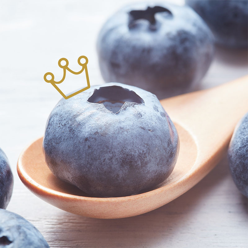 【云南蓝莓季】Driscoll's怡颗莓云南蓝莓鲜果蓝莓新鲜水果旗舰店 - 图1