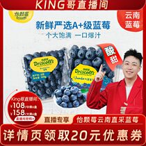 (Yunnan Blueberry) Pleasant berries fresh off season Yunnan blueberry 125g fruit big fruit