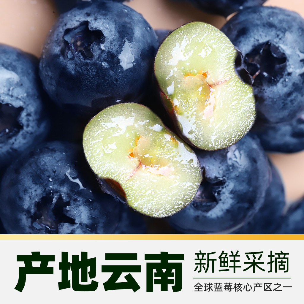 【天猫美食】怡颗莓新鲜云南蓝莓酸甜中大果125g/盒