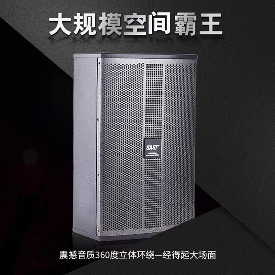 先科K5会议室音响家庭KTV音箱全套舞蹈演讲培训室壁挂K歌音响套装