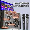 Xinke family ktv audio set outdoor