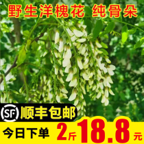 2022 now remove the fresh sophora flower wild vegetable vegetable foreign sophoria flower fresh poplar flower bone doo Henan 3 Jin Shunfeng