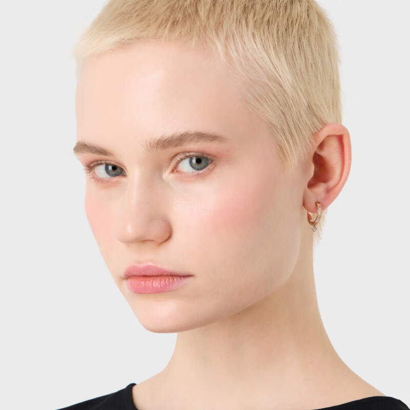 Armani阿玛尼官方正品耳环女 时尚镶钻耳环耳饰送女友生日礼物 - 图3